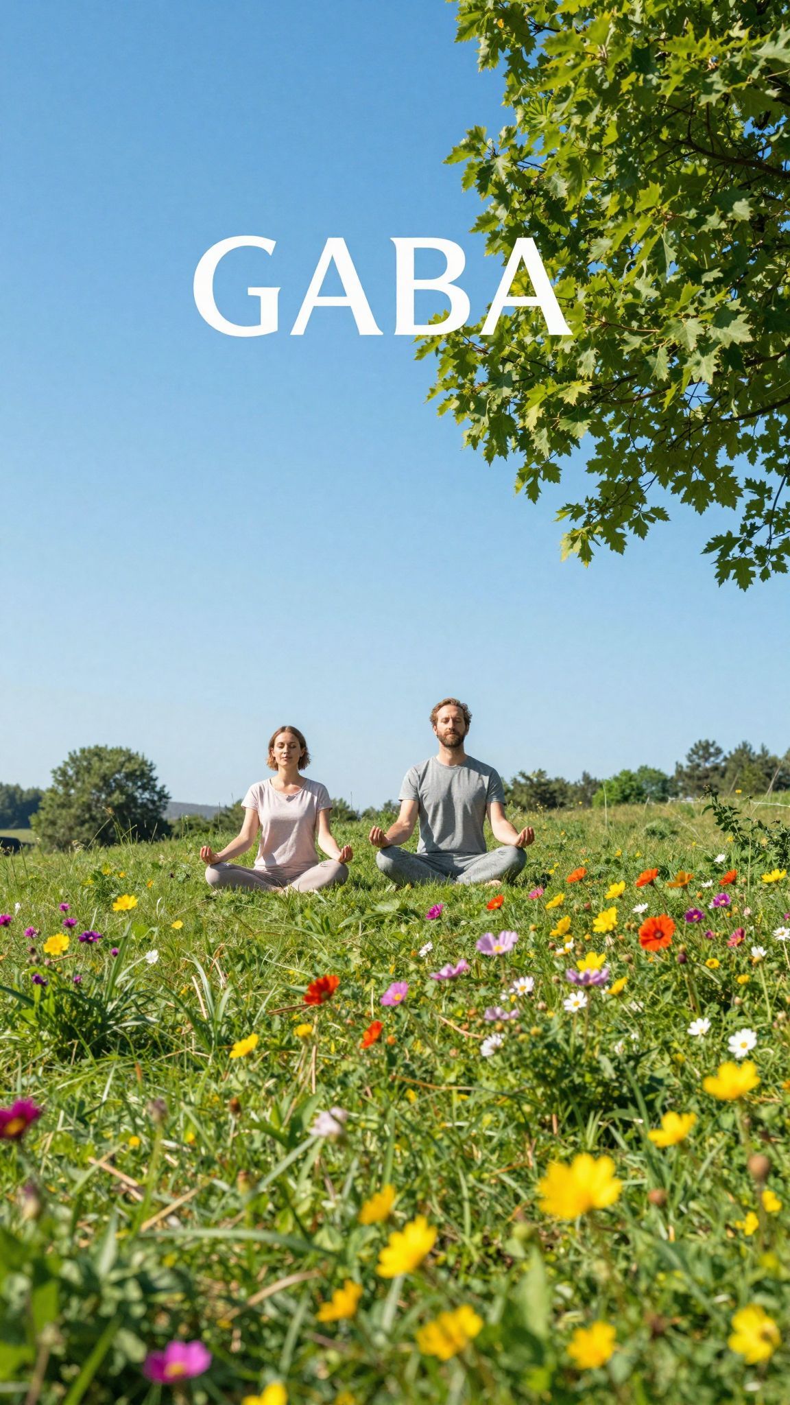 A belső béke eléréséhez rendszeres meditáció ajánlott.